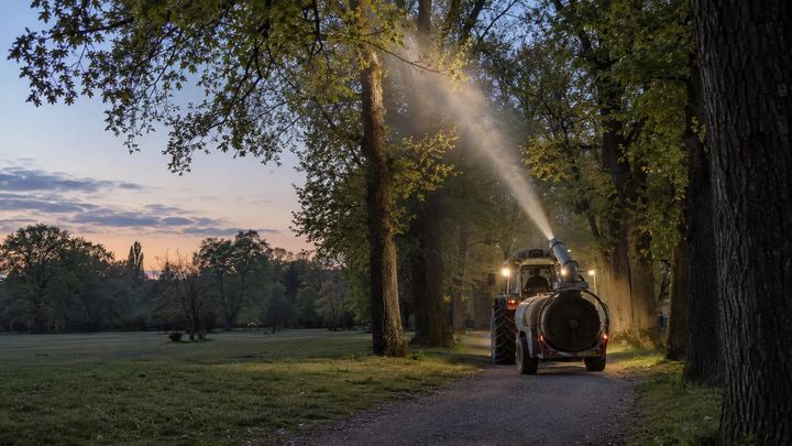 KI-generiertes Symbolbild: Traktor mit Sprühkanone sprüht in der Abenddämmerung einen feinen Strahl in die Krone einer Eiche in einer Parkallee