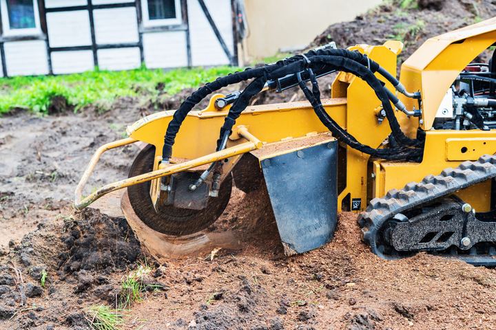 Baumfällung & Stubbenfräsen bei Holz Gade