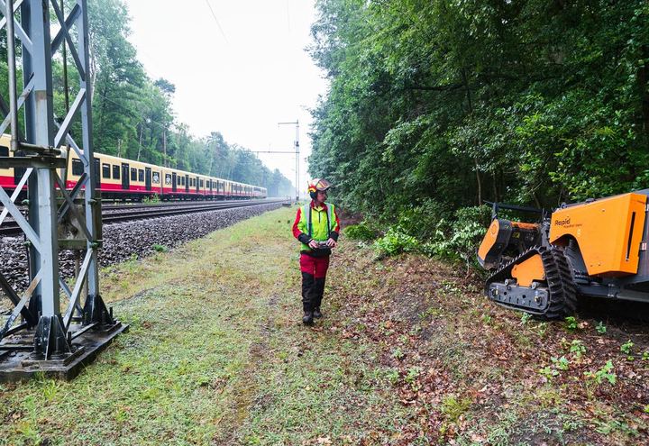 Vegetationsmanagement an Bahn & Netz bei Holz Gade