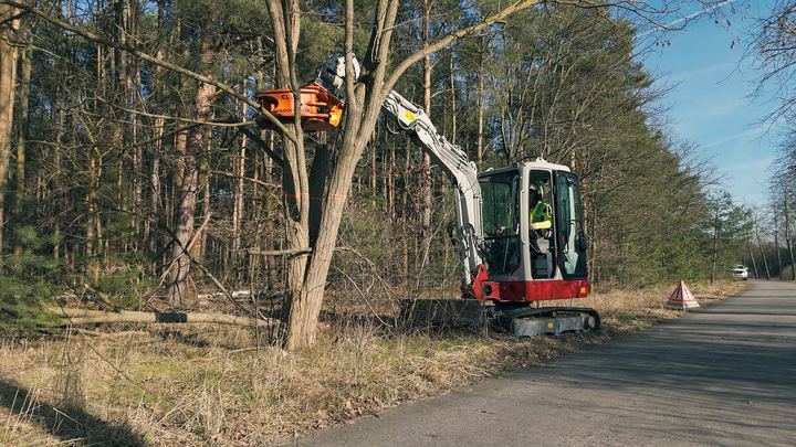 Minibagger mit Fällgreifer an einem markierten Baum am Rand eines Waldwegs, rechts ein Warnschild