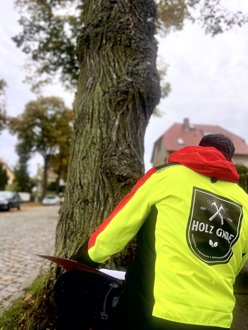 Baumkontrolle nach FLL-Richtlinie
