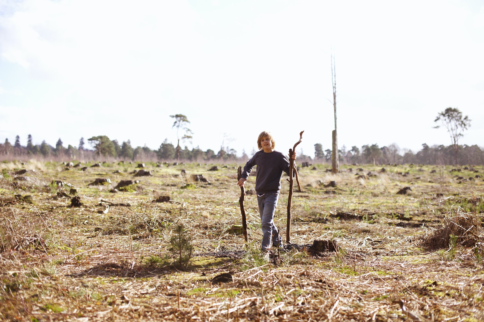 Boy carrying sticks in a plantation clearing